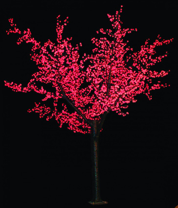 winter tree light red